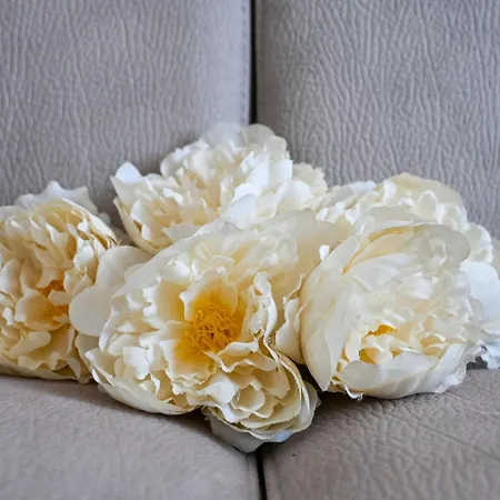 Apartman Innpisarentals - Airport Comfy Flat *